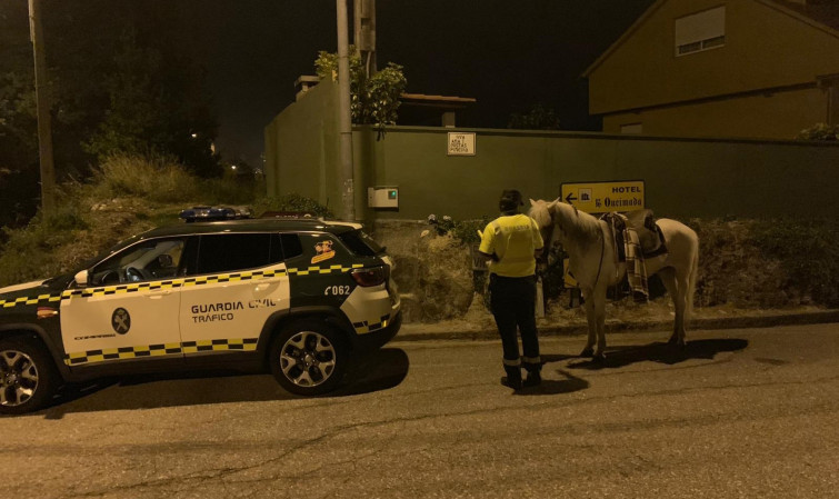 Interceptado jinete borracho y a caballo por las carreteras de Nigrán