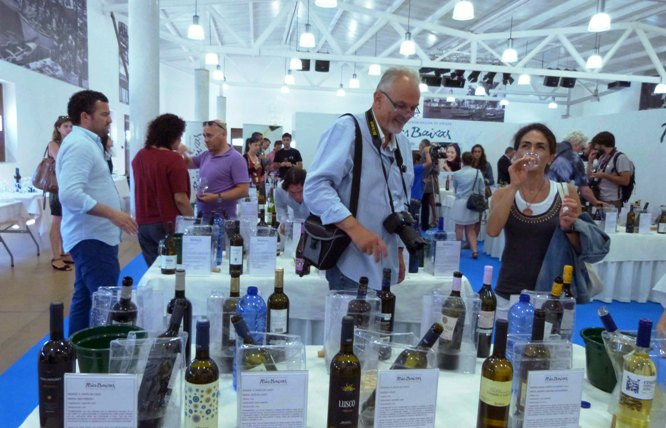 ​Galicia exporta más vino blanco y a un precio mayor