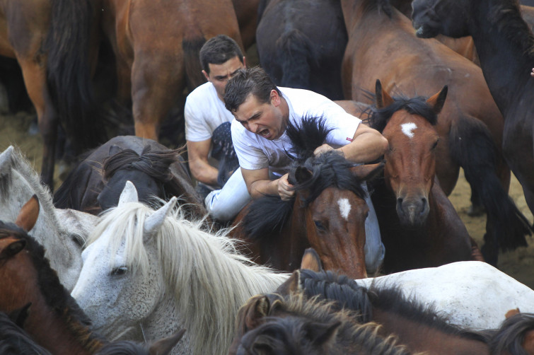 ¿Es a 'Rapa das Bestas' un evento de maltrato animal?