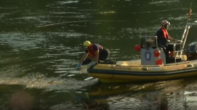 Aparece el cadáver de una mujer brasileña flotando en el Miño