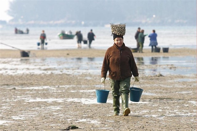 La vuelta al mundo de las mariscadoras de Cedeira