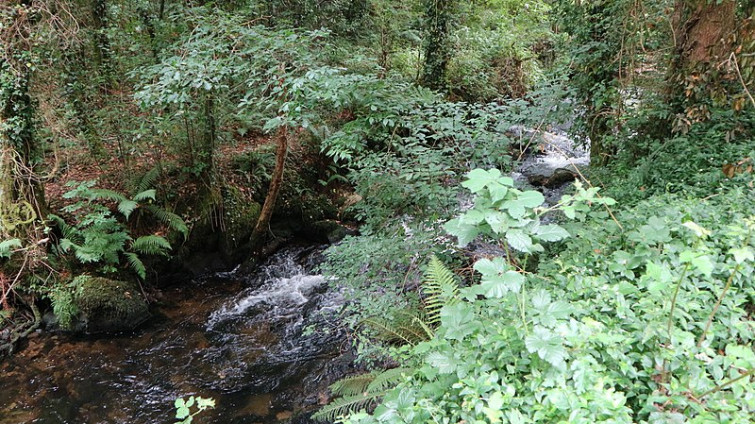 Vertido de purines en el Río Mendo cierra la captación de agua