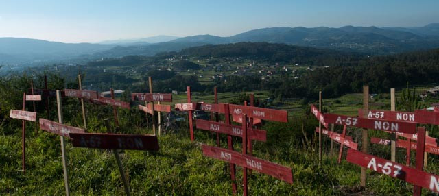 O BOE oficializa a adxudicación das obras da autovía A-57 a San José