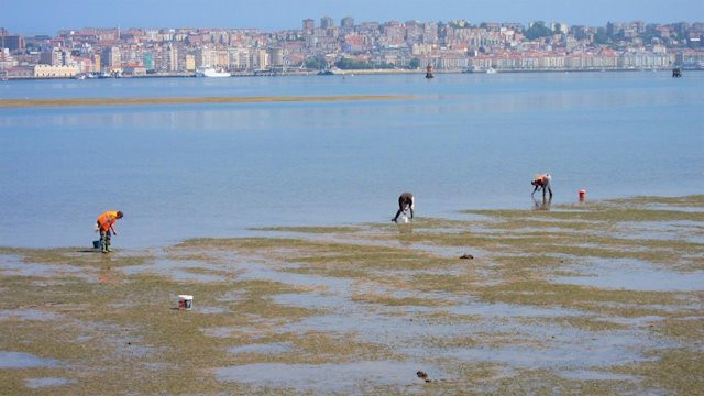 ​Naturgy y la Unidad Militar de Emergencias, de la mano en un simulacro de contaminación medioambiental en Noia