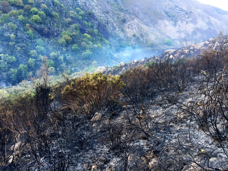 Empiezan a sucederse los incendios forestales en pleno confinamiento