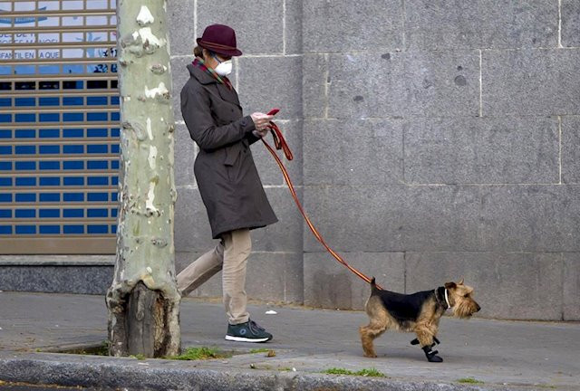 Animalistas piden a las autoridades que decomisen los perros al hombre que los alquila a 4 euros para saltarse el confinamiento