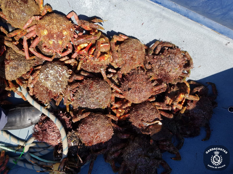 Interceptados mariscadores furtivos con más de 100 kilos de centollas, nécoras y bogavantes en Camariñas