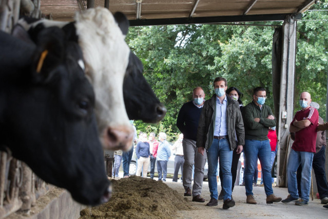 El presidente del PP, Pablo Casado (2i), durante su visita a una explotación láctea en compañía de la cabeza de lista por la provincia a las elecciones del 12 de julio, Elena Candia (3i), y del secretario general del PPdeG, Miguel Tellado (1i), en Cospeit