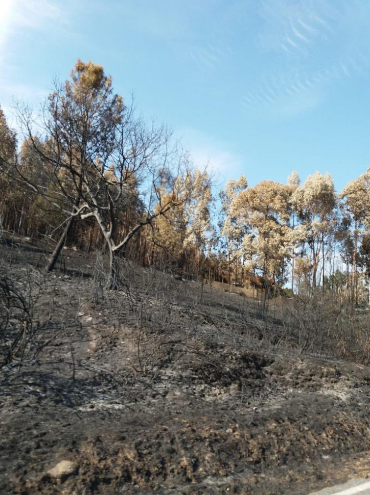 Tres incendios en el Parque Natural do Xurés y van más de 700 hectáreas quemadas en Ourense esta semana