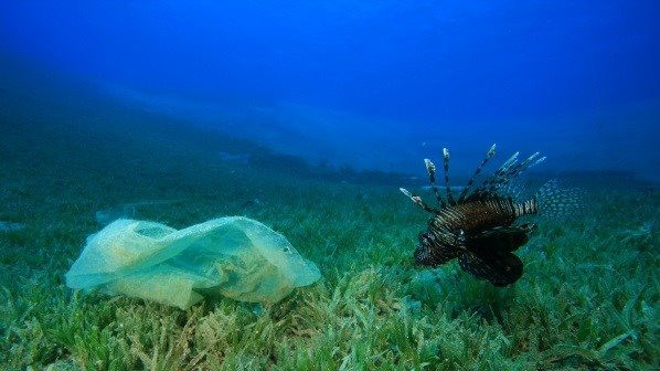 Playas gallegas con aguas de plástico: hay 10 veces más residuos en el Atlántico de lo que se pensaba, afirma un estudio