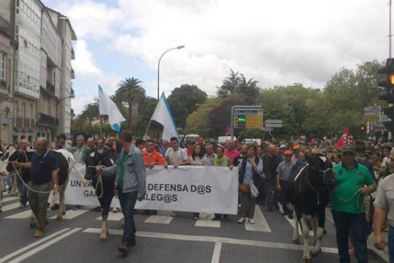 Miles de gandeiros galegos maniféstanse en Santiago para esixir unha solución definitiva