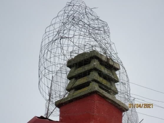 Amigos das Cegoñas y Ecoloxistas en Acción denuncian la desaparición de nidos de la especie en Chantada (Lugo)