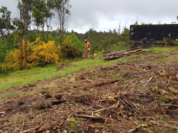 La Xunta insta a los propietarios de terrenos forestales próximos a viviendas que los limpien antes de junio