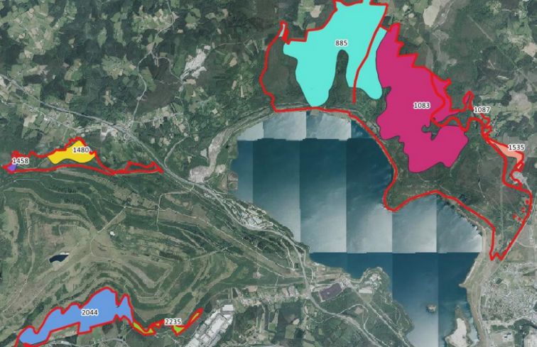 Macroplantación de eucalipto en As Pontes pedida justo antes de la moratoria afecta a restos de un castro