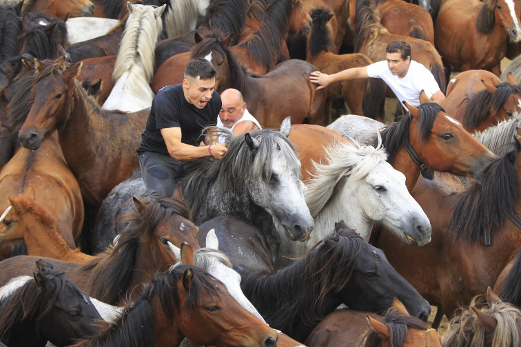 Sabucedo estalla con la 'Rapa das Bestas', Fiesta de Interés Turístico Internacional