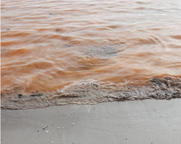 La verdadera marea roja tiñe playas de las Rías de Pontevedra y Vigo como la de Limens en Cangas