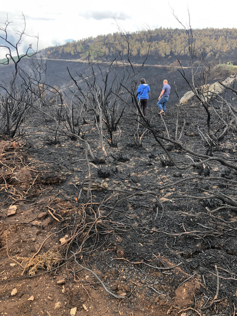 Inocente el ex brigadista acusado de incendios en Ribas de Sil (Lugo)