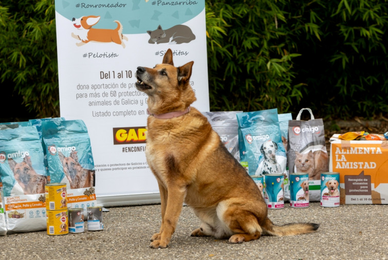 ​Casi 80 toneladas de comida para los perros y gatos de más de 60 protectoras gracias a Gadis y sus clientes