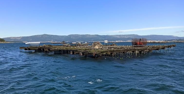 Controlada la alerta medioambiental por el vertido en la ría de Arousa y reabren los polígonos de bateas cerrados