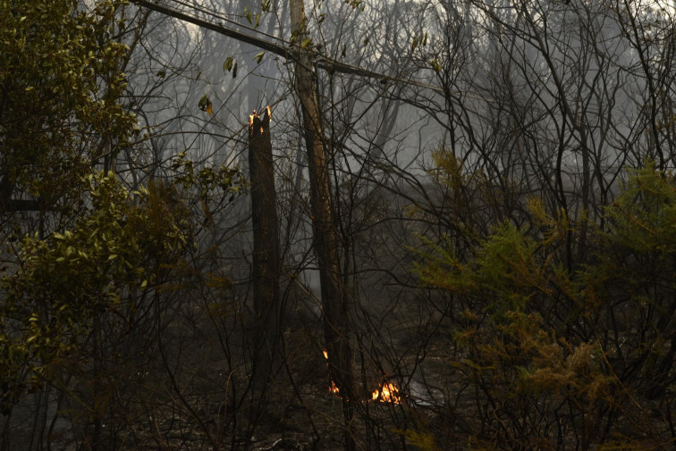 Galicia baja por primera vez del millar de incendios en 2021 con 4.371 hectáreas arrasadas ​por el fuego