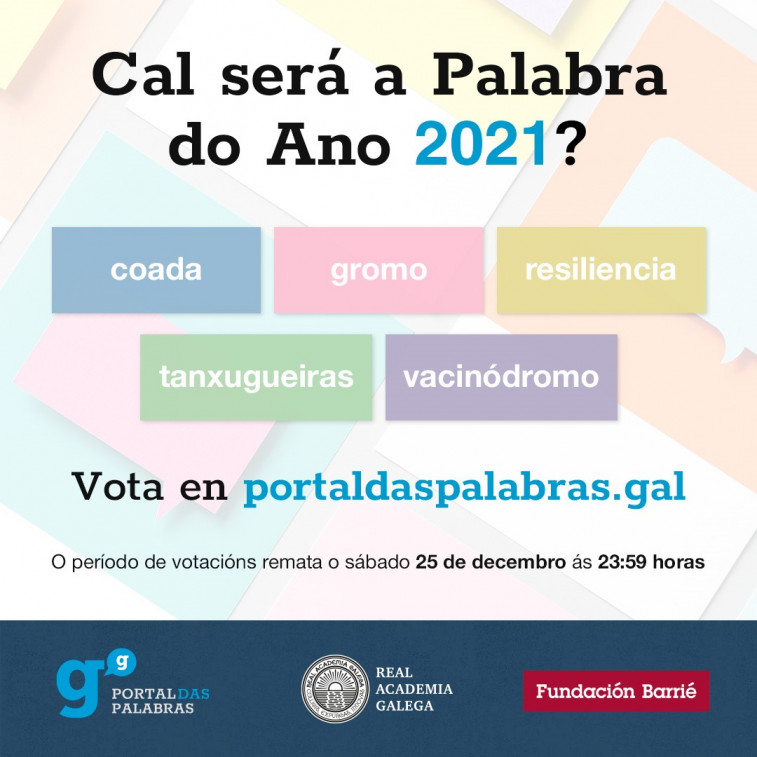 Pelea a cinco por ser la Palabara do Ano 2021: 'Tanxugueiras', 'vacinódromo', 'coada', 'gromo' y 'resiliencia'