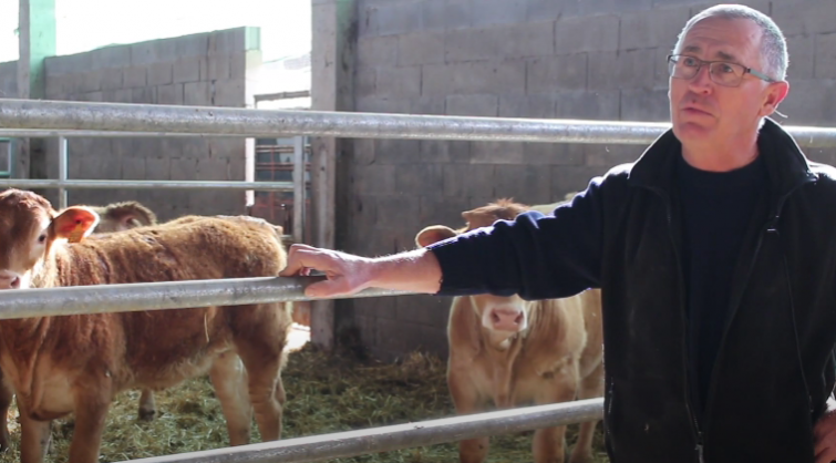 Los ganaderos de carne de vaca protestan porque los 