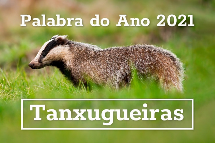 'Tanxugueiras', 