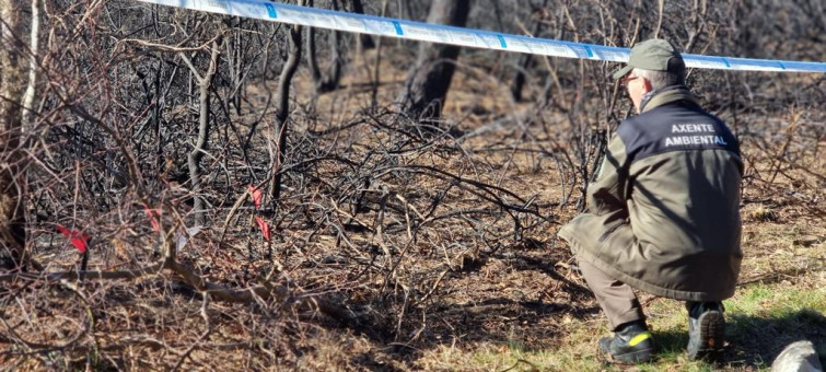 Pillado con las manos en la masa un supuesto incendiario en Castroverde, Lugo