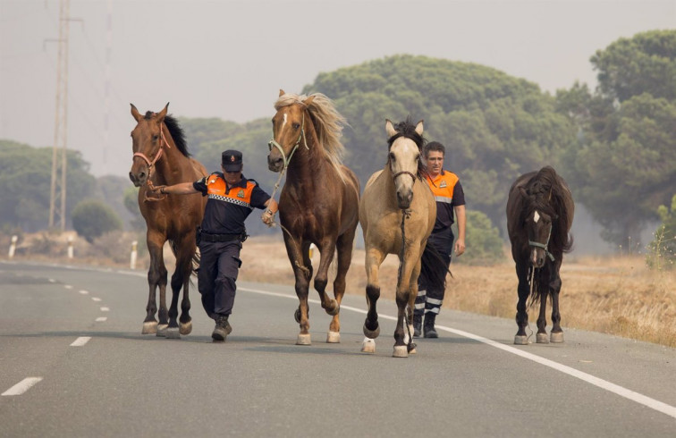 Un accidente en Curtis deja dos heridos en una salida de vía por esquivar un caballo en la carretera