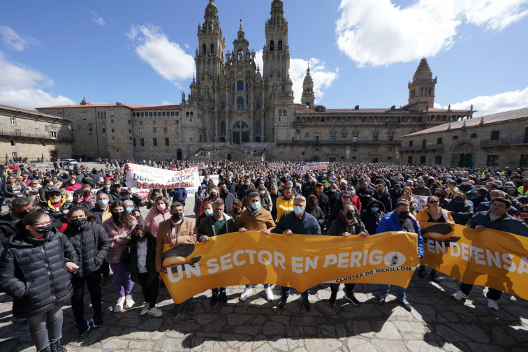 Los bateeiros volverán a marchar por Santiago este sábado para reclamar la dimisión de Rosa Quintana​