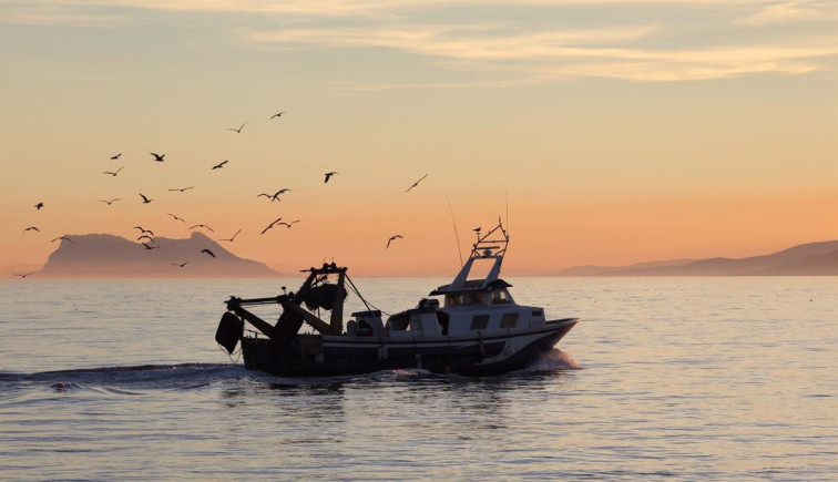 Los pescadores reclaman que la flota de altura pueda beneficiarse del descuento de 20 cent por litro de gasoil​