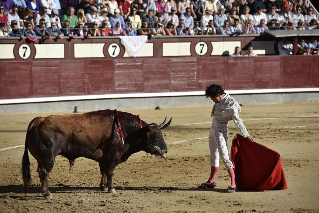 Facebook se retracta y ya no menciona las corridas de toros entre sus denuncias