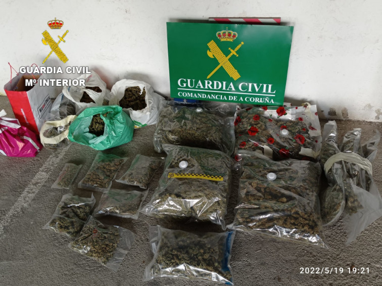 Van a apagar un incendio en Rianxo y se encuentran por sorpresa 10 kilos de cogollos de marihuana​ y 11 cachorros