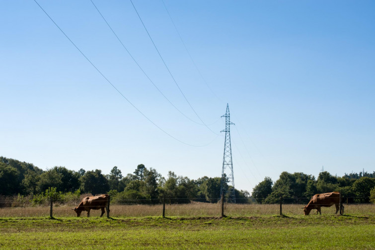 ​Naturgy dispone 545 millones de euros para invertir en mejorar el servicio eléctrico en Galicia hasta 2025