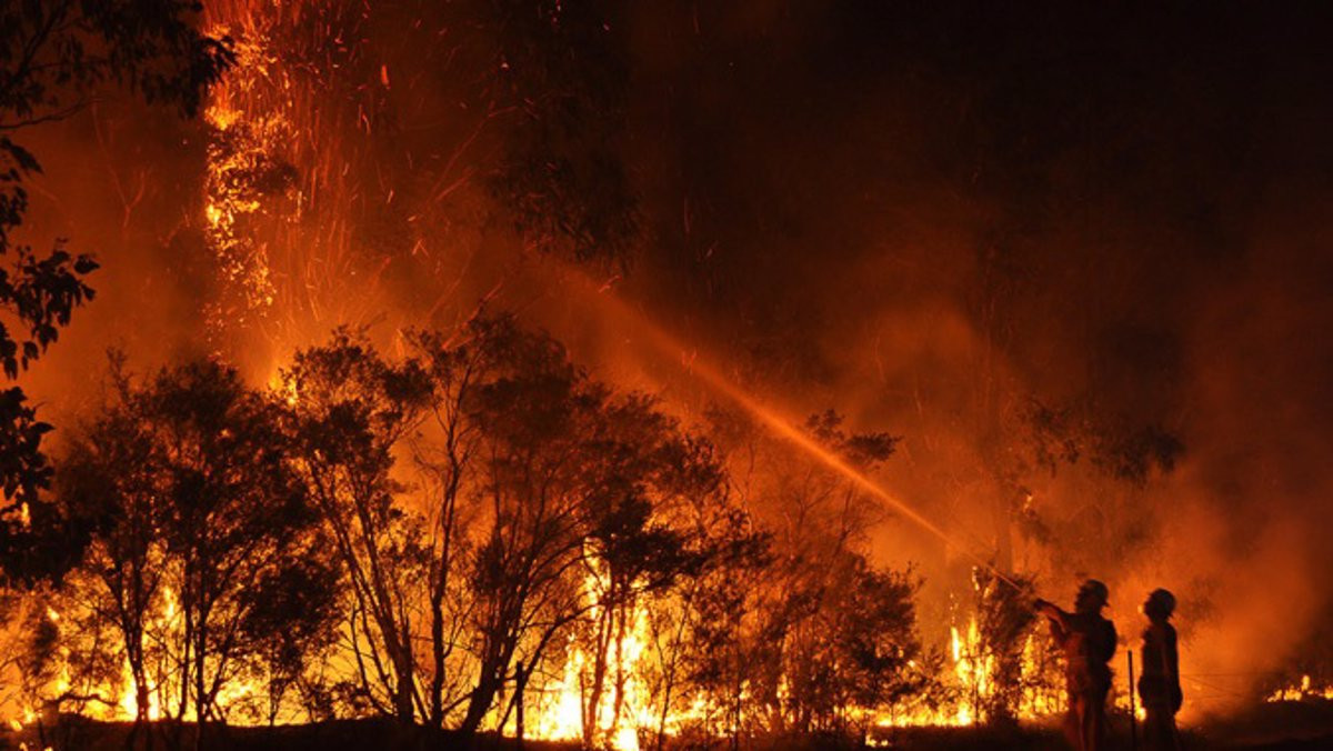 Incendio fuego bombero