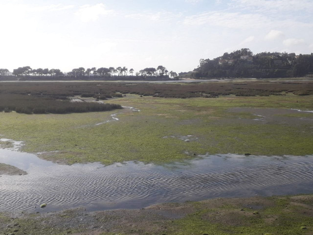 Estuario de la Foz, entre Nigrán, Gondomar y Baiona, en la provincia de Pontevedra