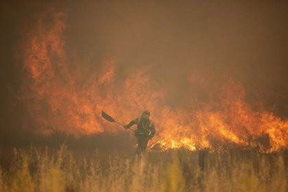 El AVE a Galicia vuelve a circular tras horas parado por el incendio en la zamorana Sierra de la Culebra