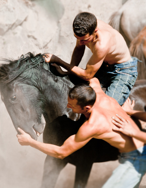 Cartel de la Rapa das Bestas de Sabucedo y del Festival Rapasons 2022 que vuelven tras dos años parados por la covid