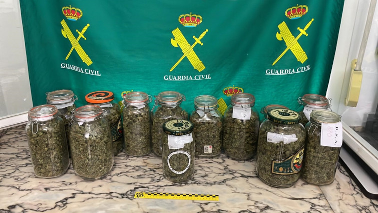 Detenida vecina de Ferreira do Valdouro que ocultaba una plantación de marihuana con cerca de 300 esquejes y plantas