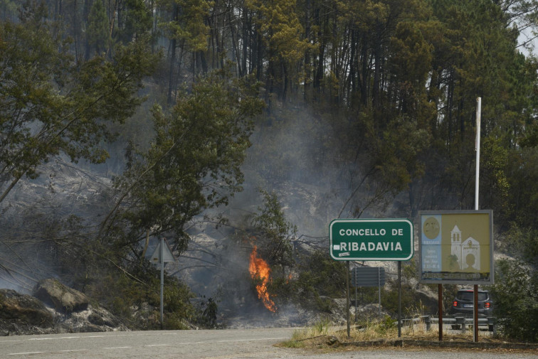 Controlado uno de los dos incendios de Melón pero ya han ardido más de 150 hectáreas allí y en Ribadavia