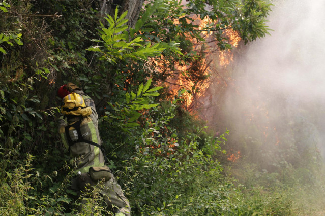 Un miembro de las Brigadas de Refuerzo en Incendios Forestales (BRIF) realiza labores de extinción en las inmediaciones de un incendio, a 15 de julio de 2022, en Samos, Lugo, Galicia (España). La Consellería do Medio Rural ha decretado la alerta por proxi