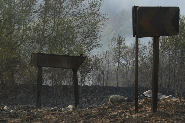 Zona vegetal afectada por el incendio en O Barco de Valdeorras, Ourense.