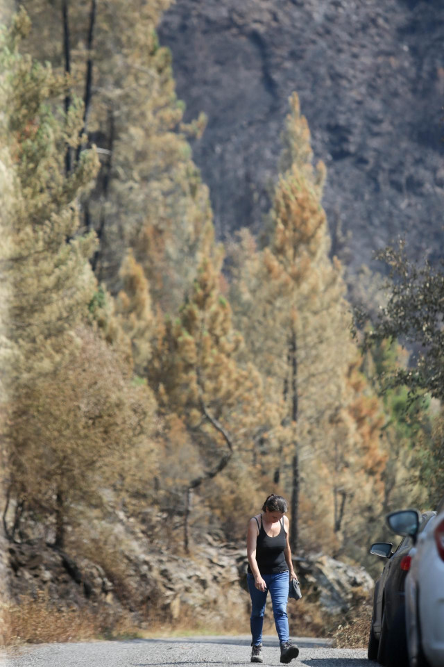 Voluntarios observan exhaustos los daños causados en la Sierra de Caurel tras el incendio, a 23 de julio de 2022, en Lugo, Galicia, (España). Las hectáreas quemadas en la Sierra de O Courel se mantienen en 10.000. O Courel, es una de las comarcas con mayo