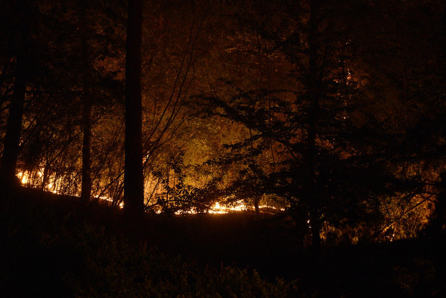 Fuego en una zona boscosa, a 28 de julio de 2022, en Castrelo de Miño, Ourense.