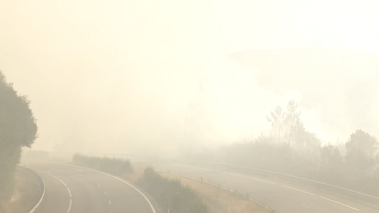 Un incendio forestal corta la autovía entre Vigo y Ourense a la altura de A Cañiza