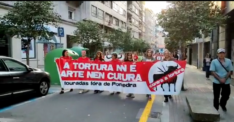 Cientos de personas se manifiestan en Pontevedra bajo el lema 