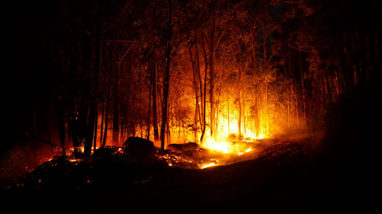 Nueve incendios permanecen activos en Galicia, muchos intencionados que han arrasado unas 3.700 hectáreas