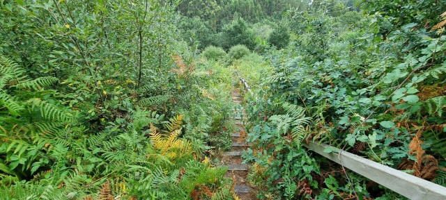 Los vecinos de Touro denuncian el abando de sus rutas de senderismo