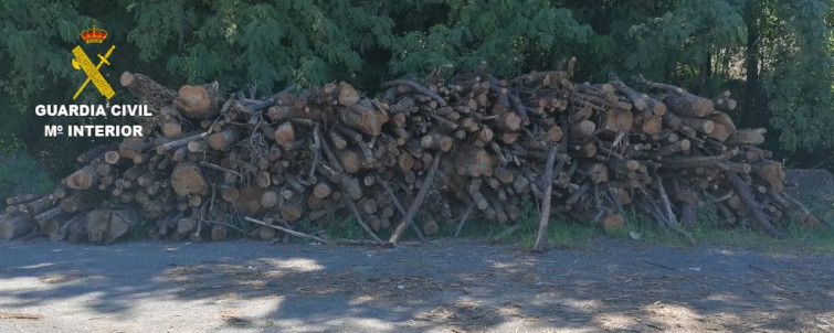 Cae una banda que robaba y vendía madera de talas en zonas como Brión, Padrón o Paderne