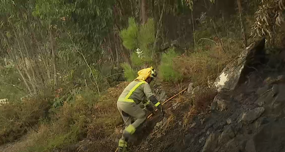 La cercanía de eucaliptos a casas, prohibida por Ley, convirtió en especialmente peligroso el incendio de Moaña